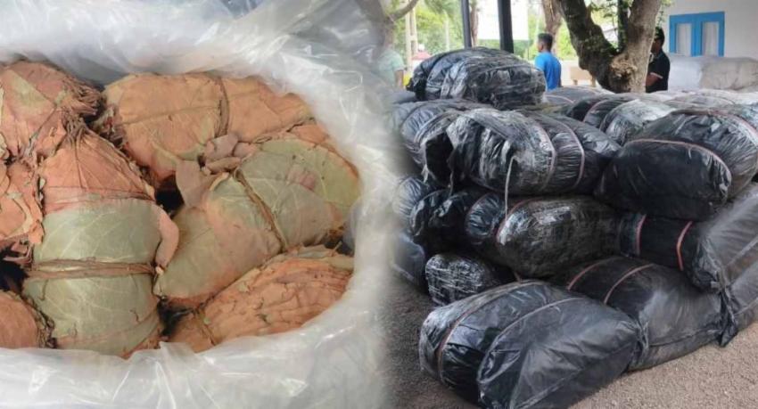 බීඩි කොළ තොගයක් සමඟ සැකකරුවෙකු අත්අඩංගුවට..